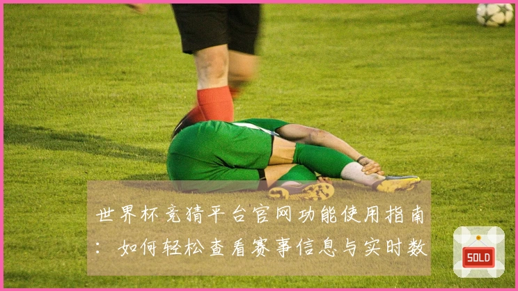 世界杯竞猜平台官网功能使用指南：如何轻松查看赛事信息与实时数据