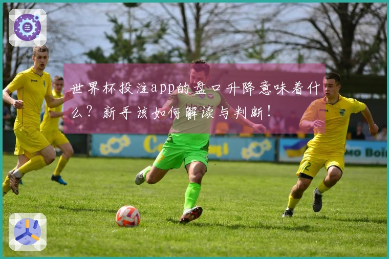 世界杯投注app的盘口升降意味着什么？新手该如何解读与判断！