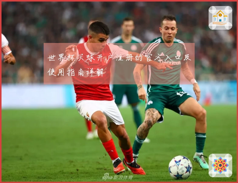世界杯买球开户注册的官方入口及使用指南详解