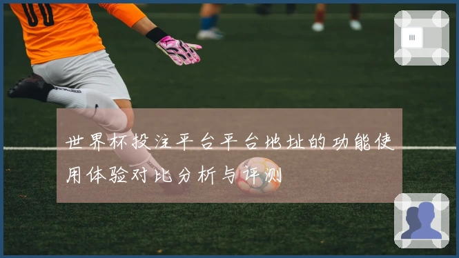 世界杯投注平台平台地址的功能使用体验对比分析与评测