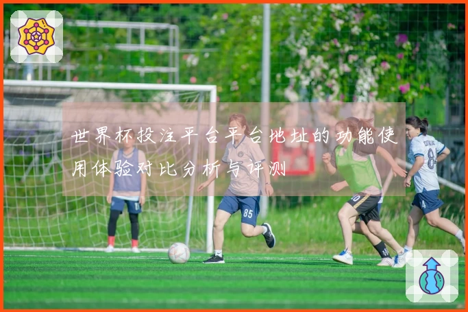 世界杯投注平台平台地址的功能使用体验对比分析与评测