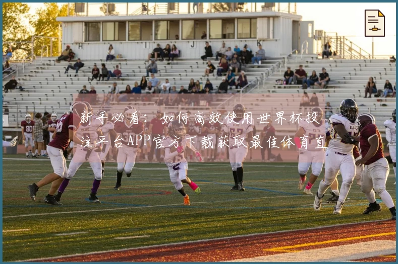 新手必看：如何高效使用世界杯投注平台APP官方下载获取最佳体育直播体验