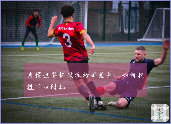 看懂世界杯投注赔率差异，如何把握下注时机
