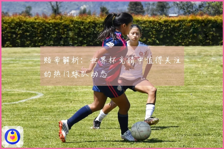 赔率解析：世界杯竞猜中值得关注的热门球队动态