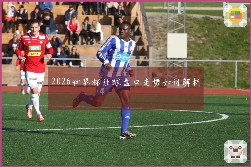 2026世界杯让球盘口走势如何解析