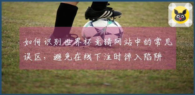 如何识别世界杯竞猜网站中的常见误区，避免在线下注时掉入陷阱