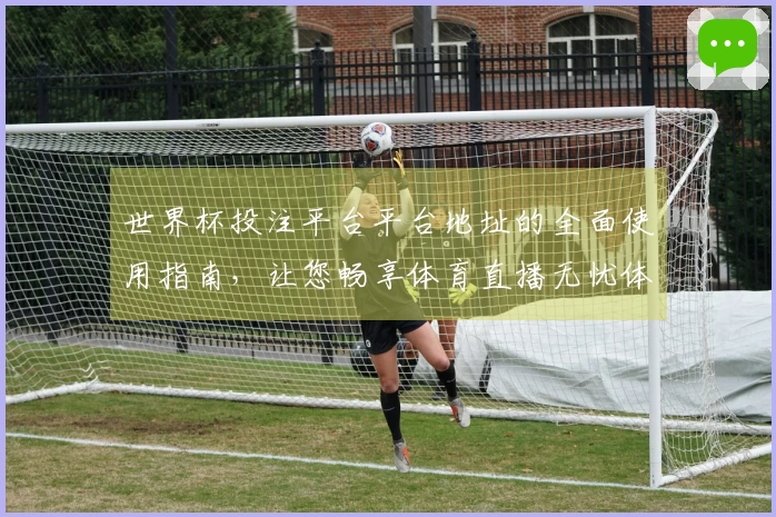 世界杯投注平台平台地址的全面使用指南，让您畅享体育直播无忧体验