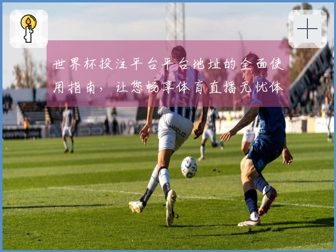 世界杯投注平台平台地址的全面使用指南,让您畅享体育直播无忧体验