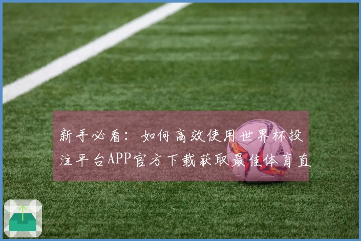 新手必看：如何高效使用世界杯投注平台APP官方下载获取最佳体育直播体验