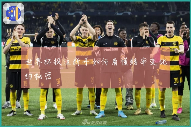 世界杯投注新手如何看懂赔率变化的秘密