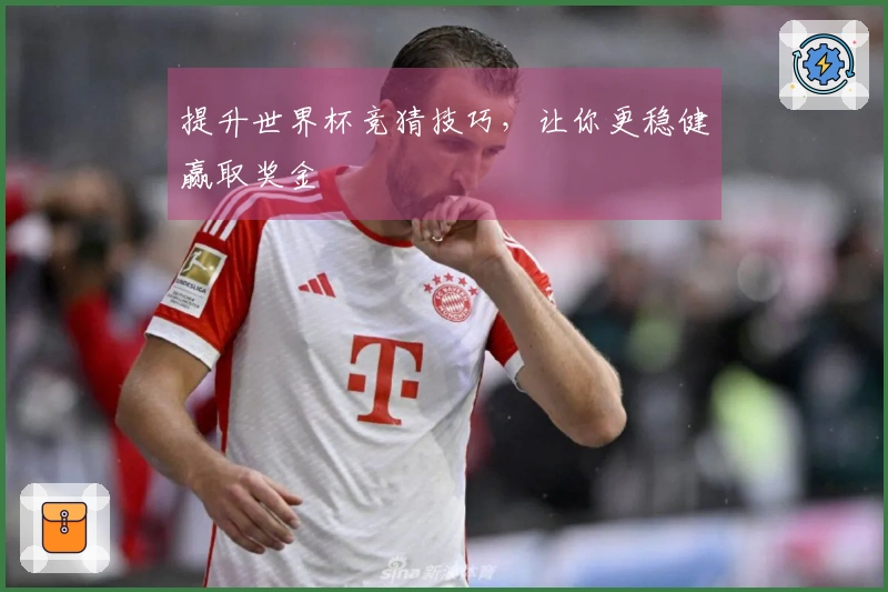 提升世界杯竞猜技巧，让你更稳健赢取奖金