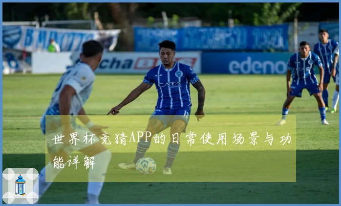世界杯竞猜APP的日常使用场景与功能详解