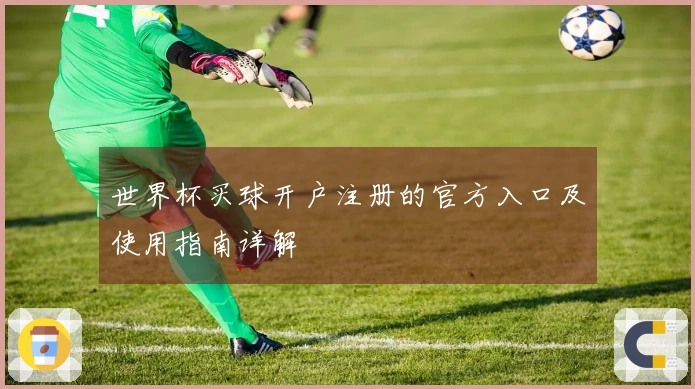 世界杯买球开户注册的官方入口及使用指南详解