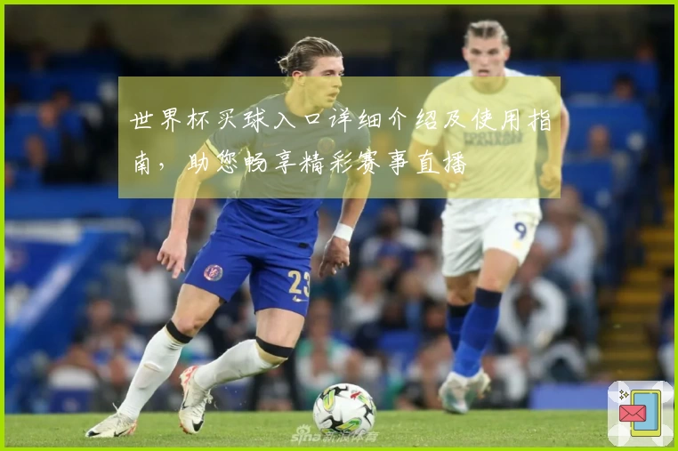 世界杯买球入口详细介绍及使用指南，助您畅享精彩赛事直播